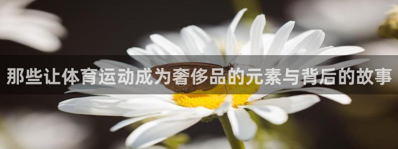那些让体育运动成为奢侈品的元素与背后的故事