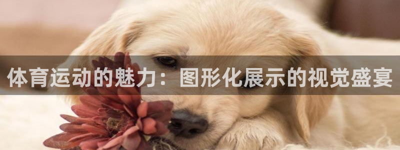 体育运动的魅力：图形化展示的视觉盛宴