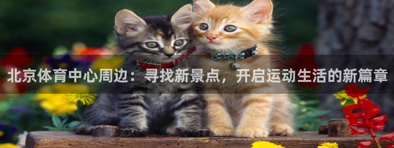 北京体育中心周边：寻找新景点，开启运动生活的新篇章