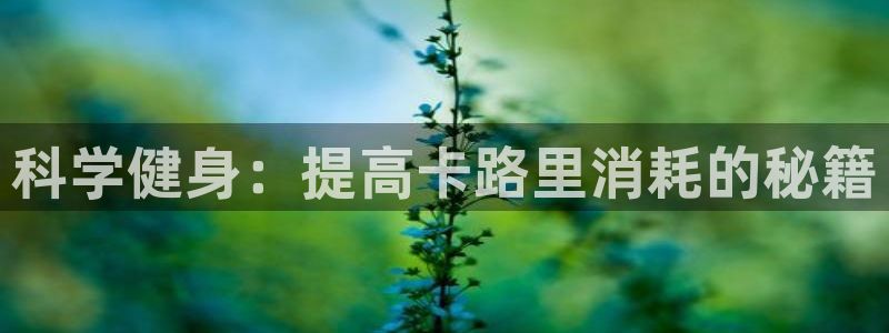 科学健身：提高卡路里消耗的秘籍